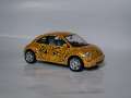 beetle-safari-5